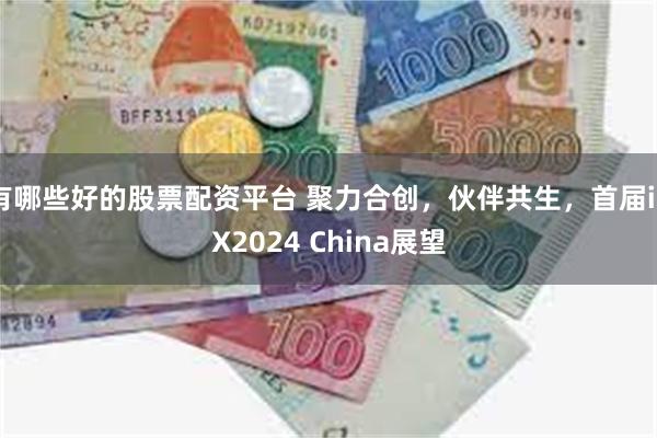 有哪些好的股票配资平台 聚力合创，伙伴共生，首届iPX2024 China展望