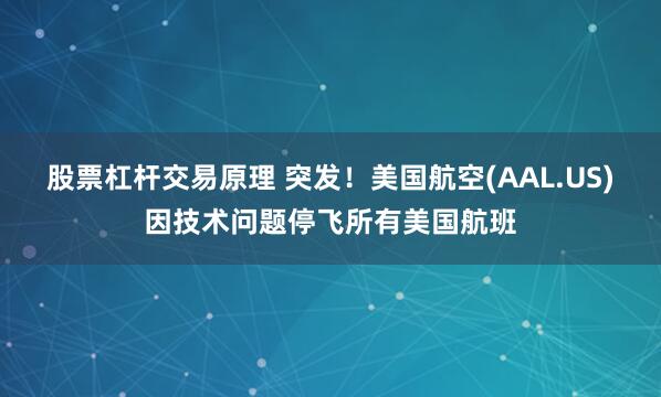 股票杠杆交易原理 突发！美国航空(AAL.US)因技术问题停飞所有美国航班