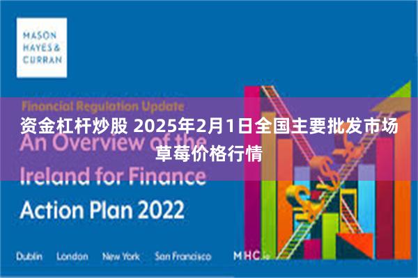 资金杠杆炒股 2025年2月1日全国主要批发市场草莓价格行情