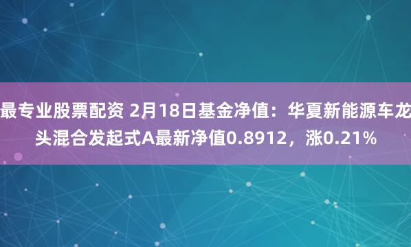 最专业股票配资 2月18日基金净值：华夏新能源车龙头混合发起式A最新净值0.8912，涨0.21%