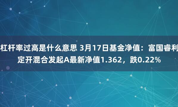 杠杆率过高是什么意思 3月17日基金净值：富国睿利定开混合发起A最新净值1.362，跌0.22%