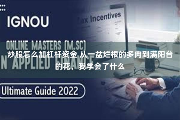 炒股怎么加杠杆资金 从一盆烂根的多肉到满阳台的花，我学会了什么